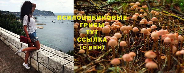 ALPHA-PVP Аркадак